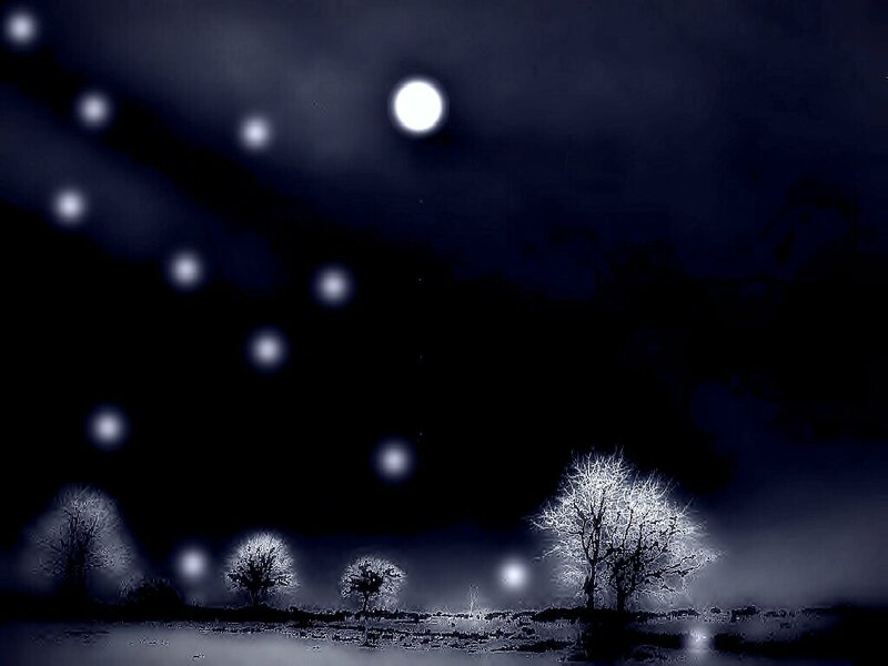 Trees in Moonlit Field