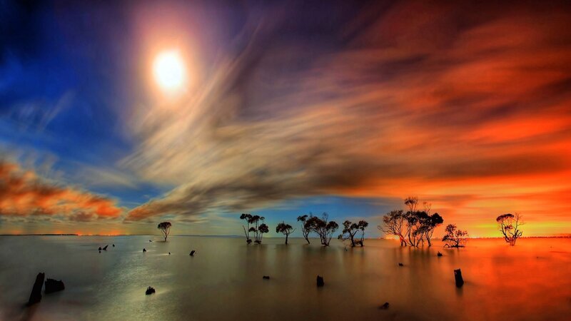 Trees in Shallow Water — Orange, Dramatic, Night, Photograph
