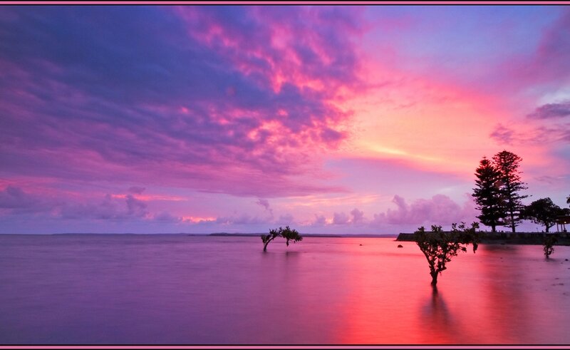Trees in Shallow Water