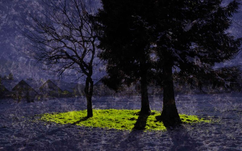 Trees in Snowy Field — Green