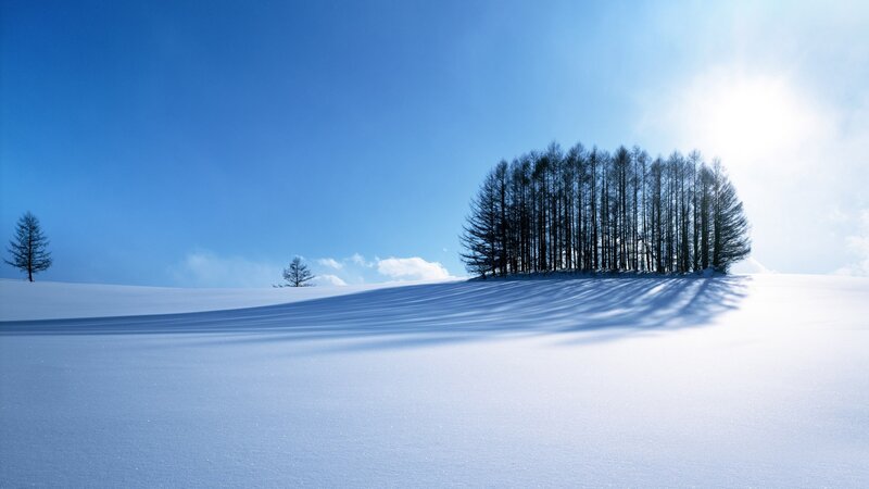 Trees in Snowy Landscape — Blue, Serene
