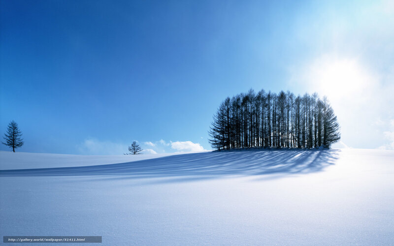 Trees in Snowy Landscape — Blue