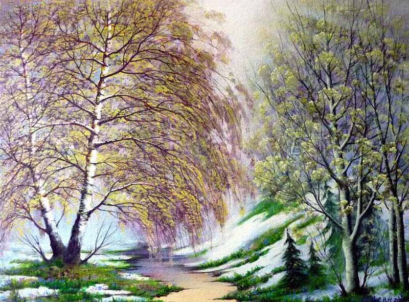 Trees in Spring Landscape