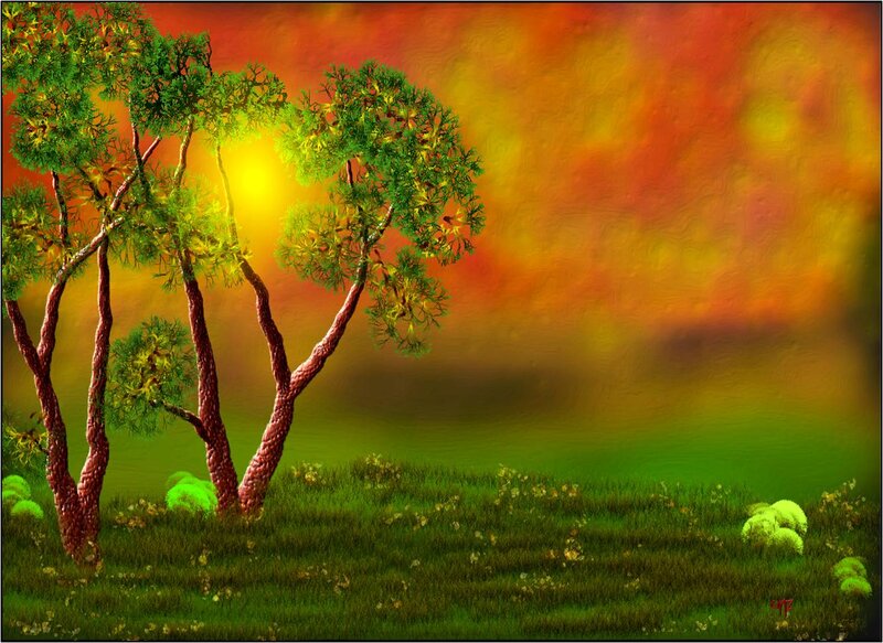 Trees in Sunset Landscape