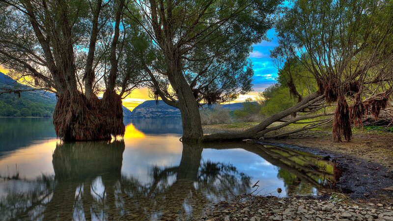 Trees in Water at Sunset — Blue, Serene, Photograph
