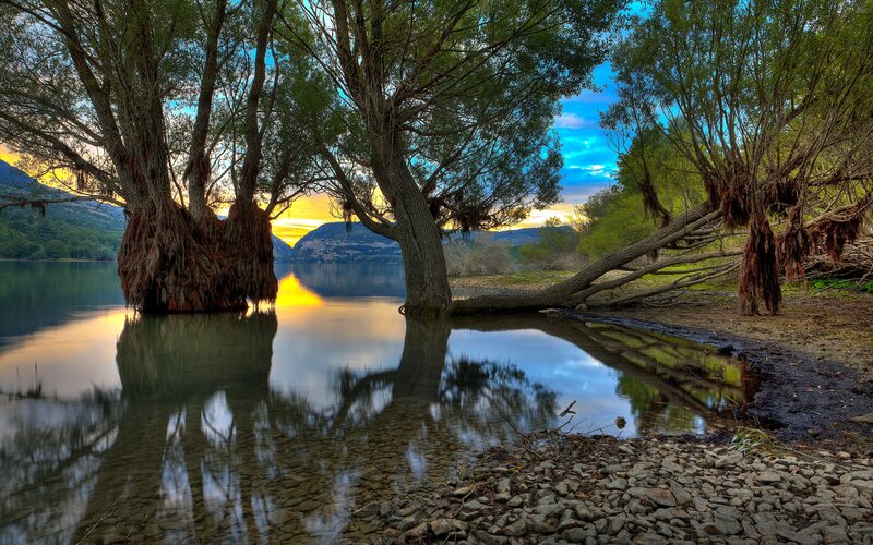 Trees in Water at Sunset — Blue