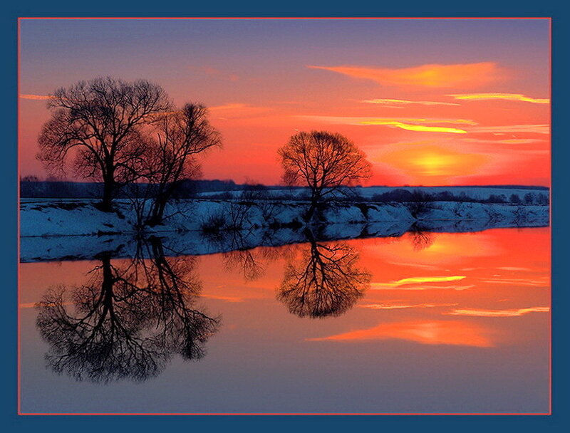 Trees in Winter Landscape