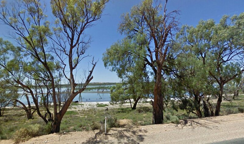Trees Near Lake