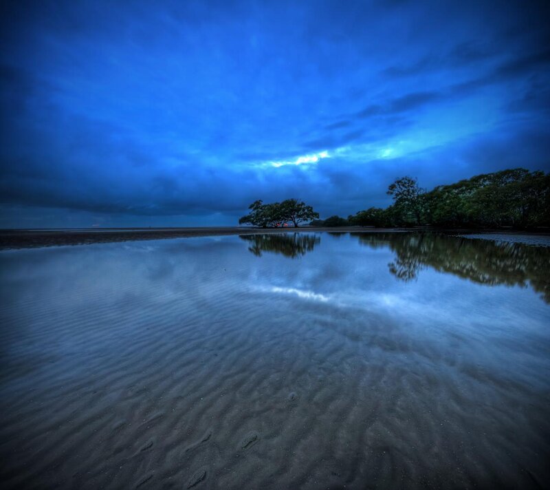 Trees on a Beach — Blue