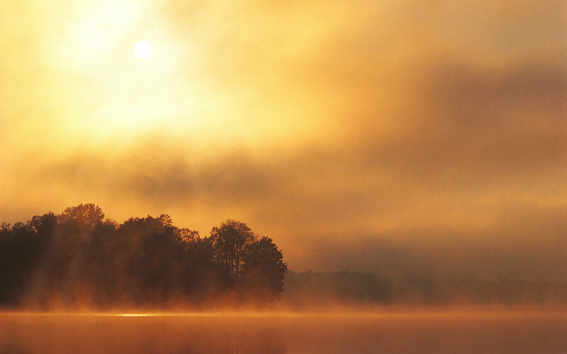 Trees on a Foggy Lake — Orange