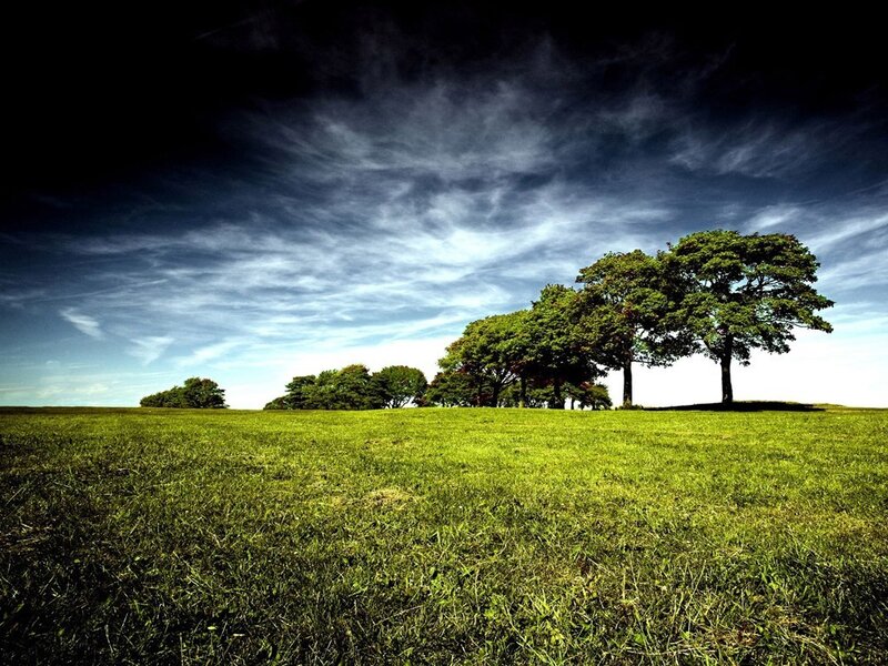 Trees on a Grassy Hill — Green, Dramatic, Afternoon, Photograph, Grass, Sky, Clouds, Blue