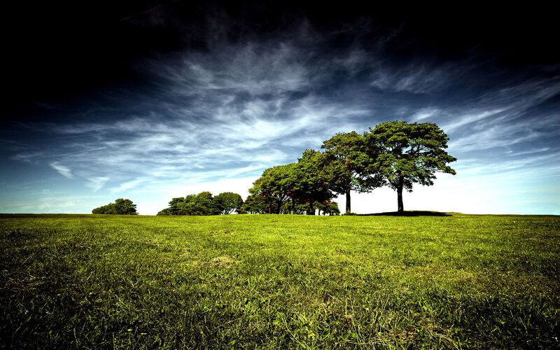 Trees on a Grassy Hill — Green, Dramatic, Afternoon, Photograph, Grass, Sky, Clouds