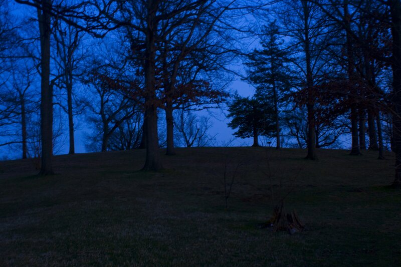 Trees on a Hill at Dusk — Blue
