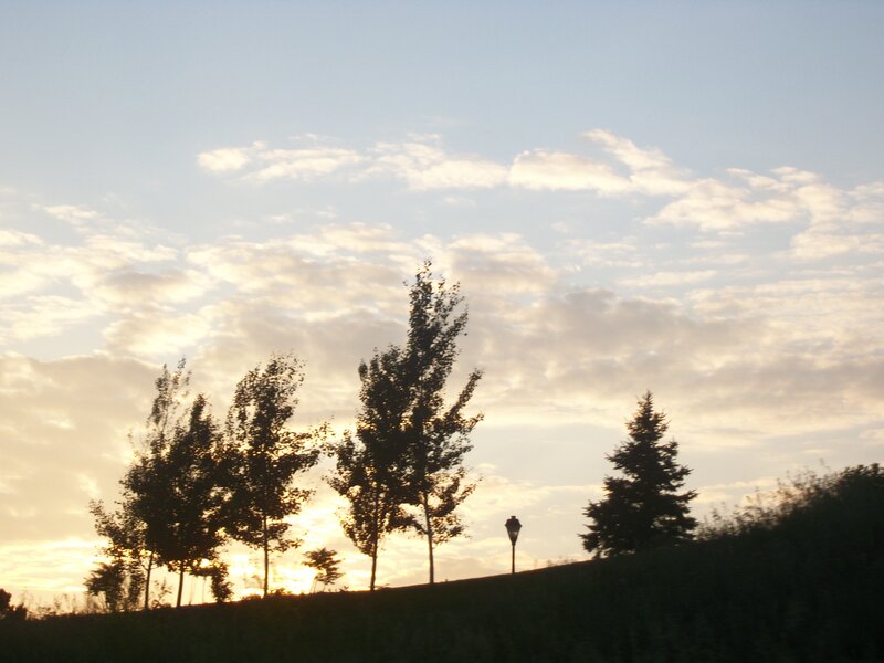 Trees on a Hill at Sunset — Blue