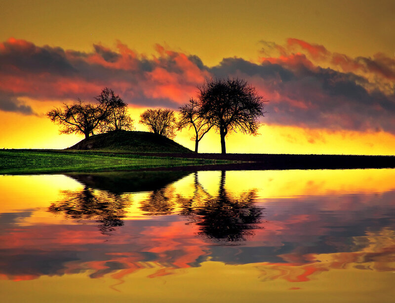 Trees on a Hill at Sunset — Yellow
