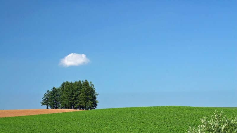 Trees on a Hill — Blue, Serene