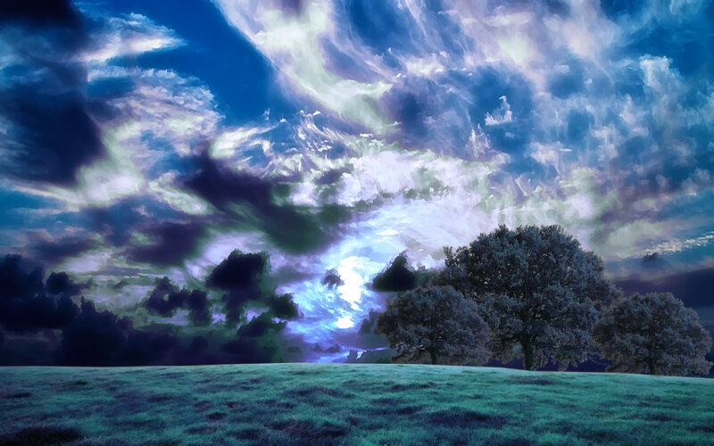 Trees on a Hill — Blue
