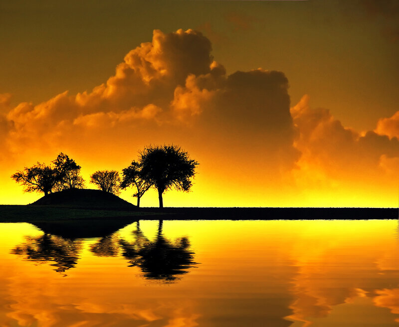 Trees on a Hill — Orange