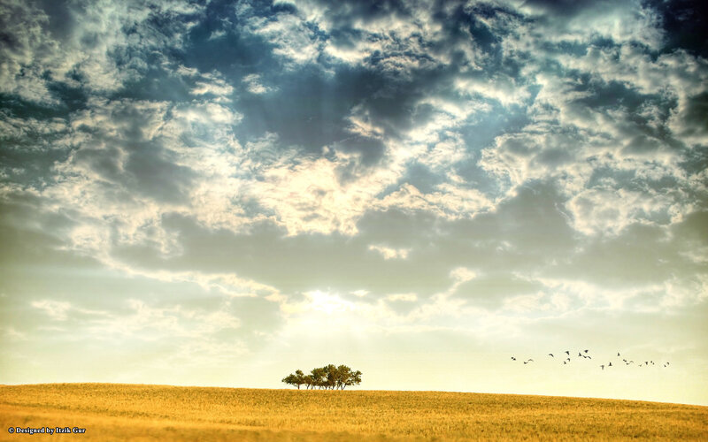 Trees on a Hill