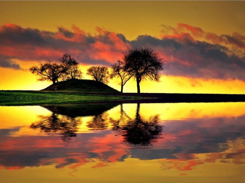 Trees on a Hill — Yellow, Dramatic