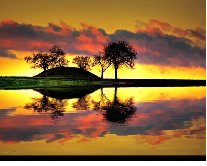 Trees on a Hill — Yellow