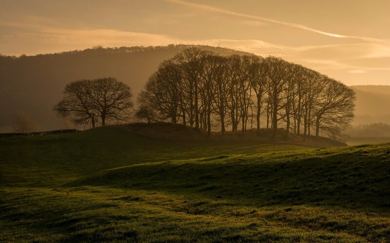 Trees on a Hillside — Green, Serene, Sunset, Photograph, Hills