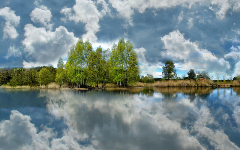 Trees on a Lake Island — Blue