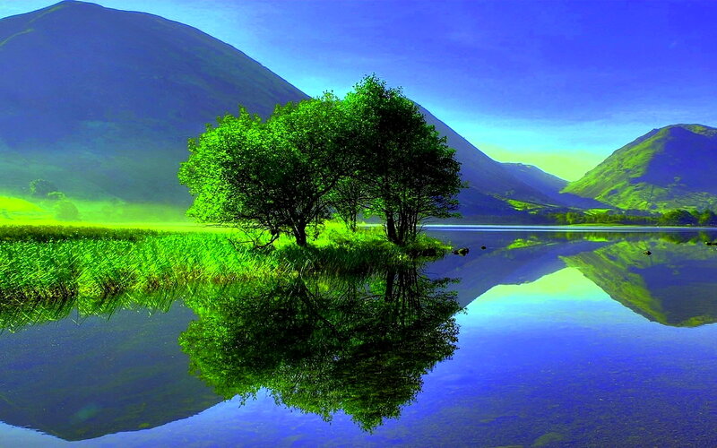Trees on a Lake Island — Green