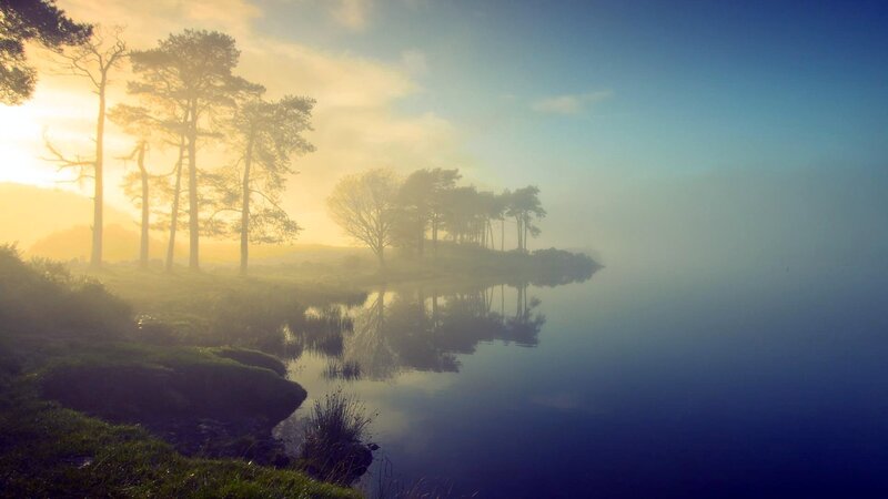 Trees on a Lake Shore — Blue, Serene