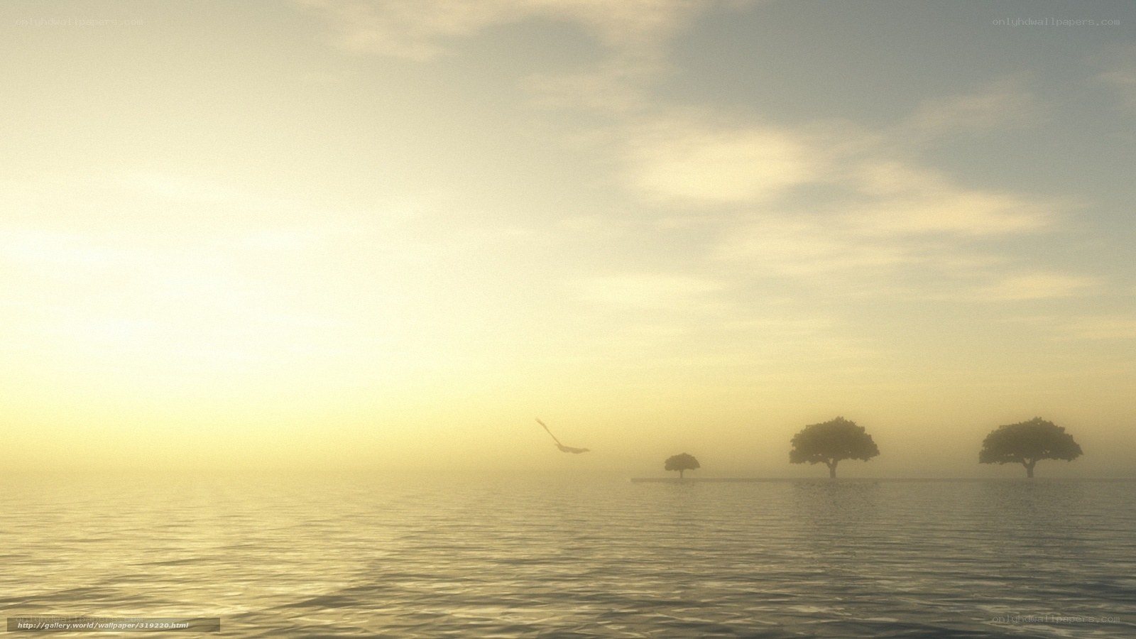 Trees on a misty sea