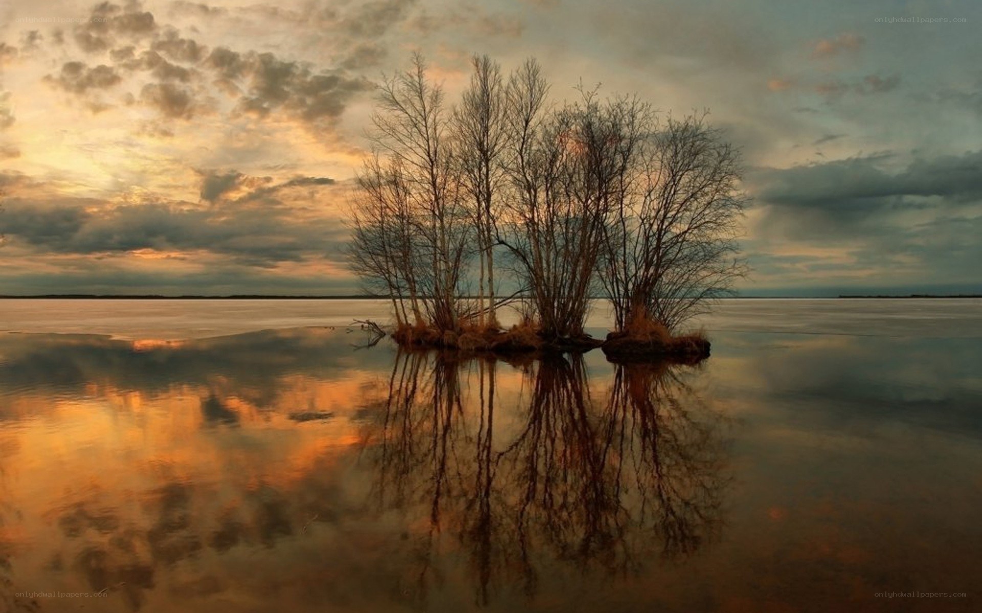 Trees on a small island at sunset