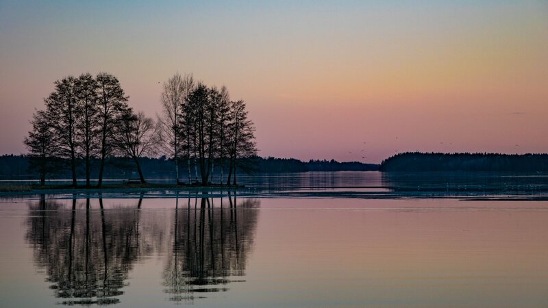 Trees on Island at Sunset