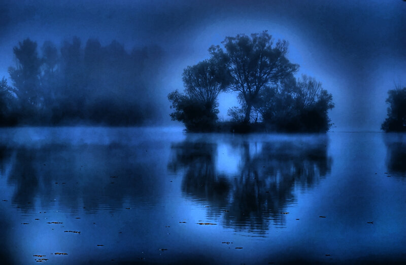 Trees on Island in Fog
