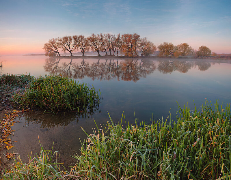 Trees on Island in Lake — Blue