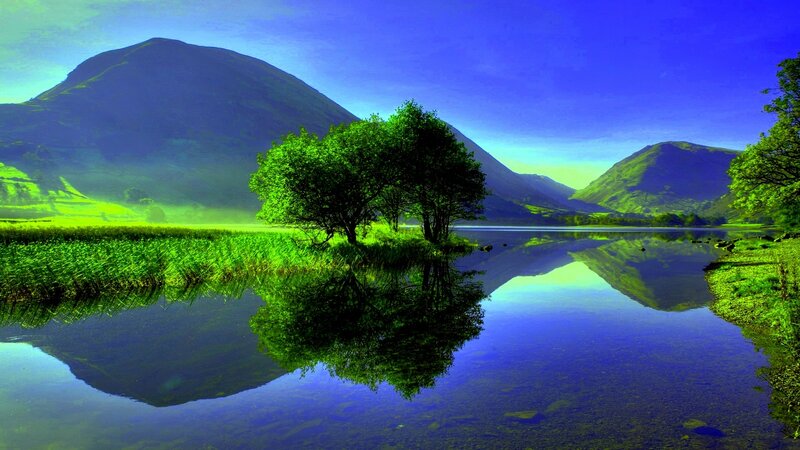 Trees on Island in Lake — Green