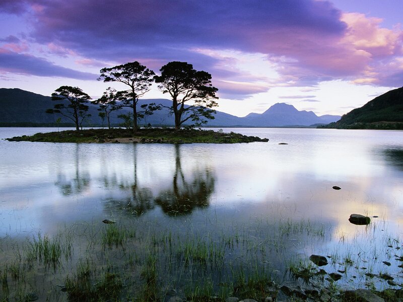 Trees on Island in Lake — Purple