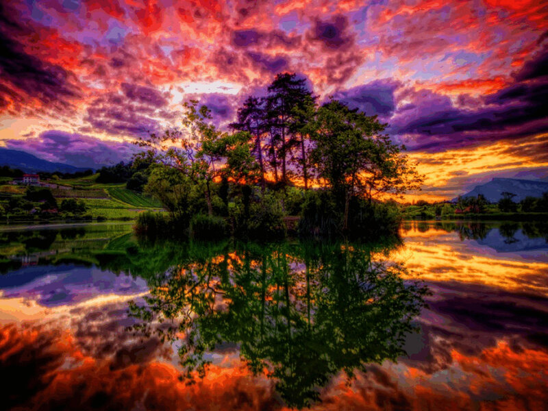 Trees on Island in Lake — Red