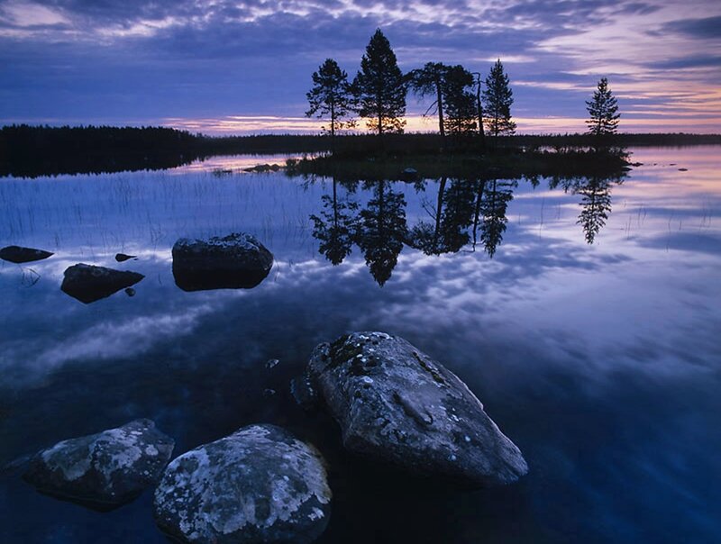 Trees on Island in Lake