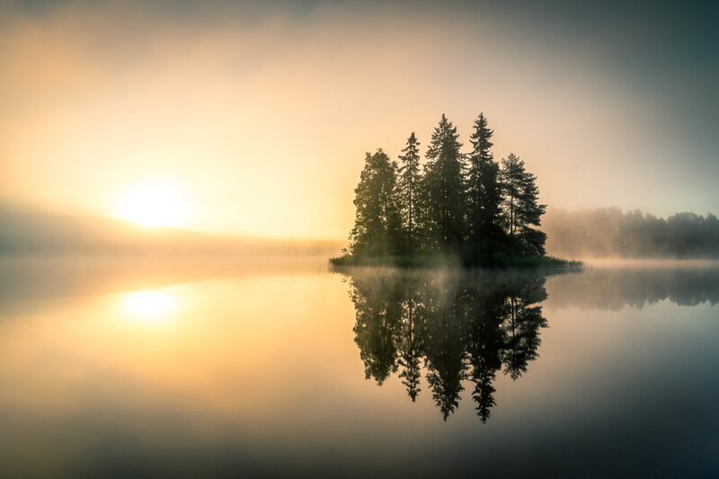 Trees on Island in Lake — Yellow
