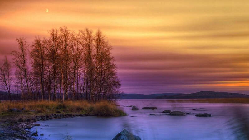Trees on Lake Shore — Orange, Serene