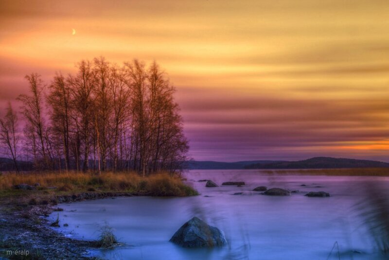 Trees on Lake Shore — Orange