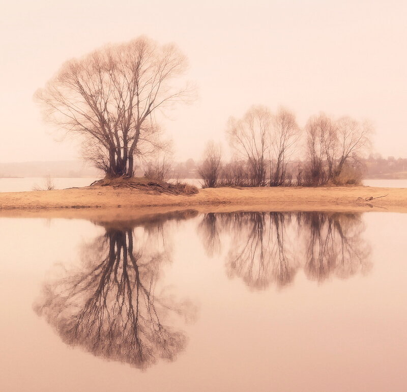 Trees on River Island