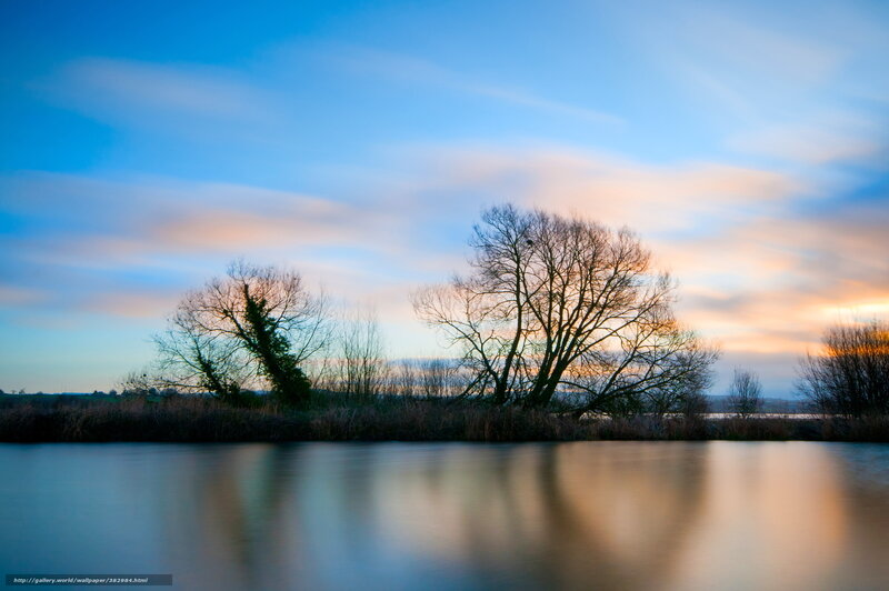 Trees on Riverbank — Blue