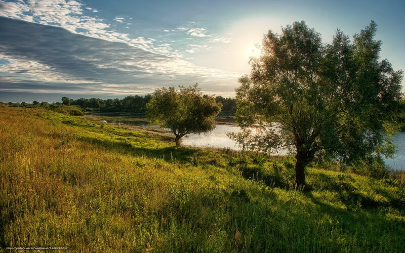 Trees on Riverbank — Green, Serene, Sunset