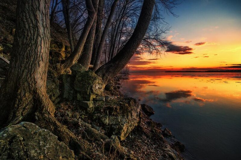 Trees on Riverbank