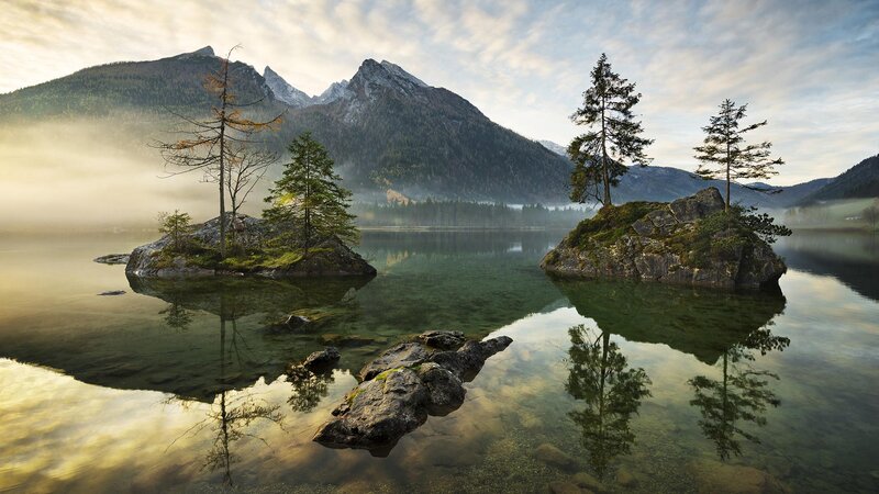 Trees on Rocks in Lake