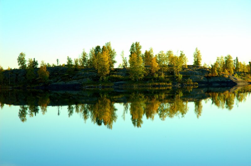 Trees on Rocky Island