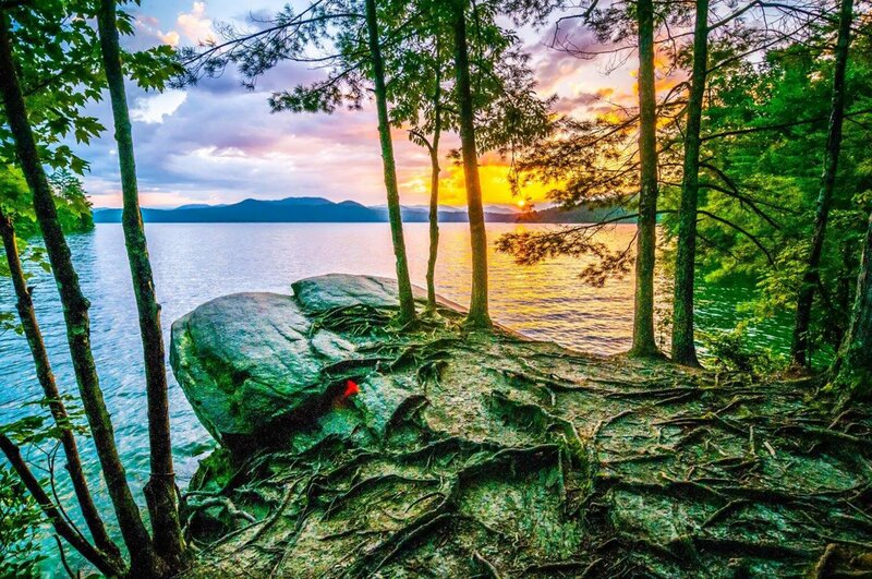 Trees on Rocky Shore