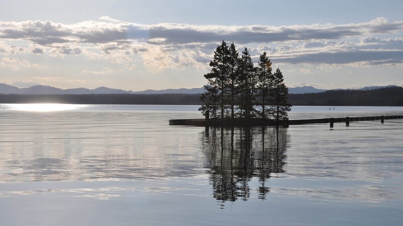 Trees on Small Island — Blue