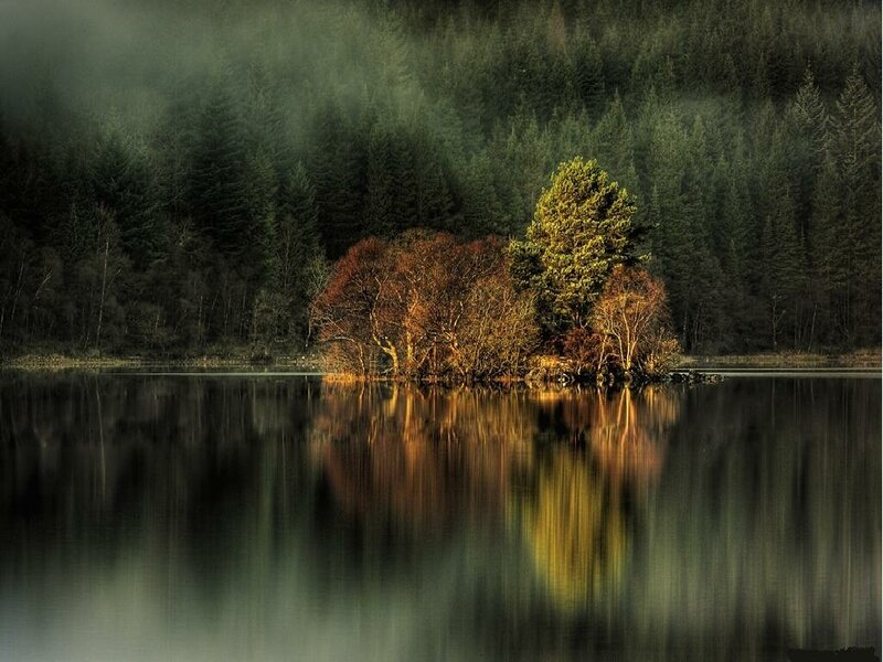 Trees on Small Island — Green, Serene, Morning, Photograph, Lake, Forest